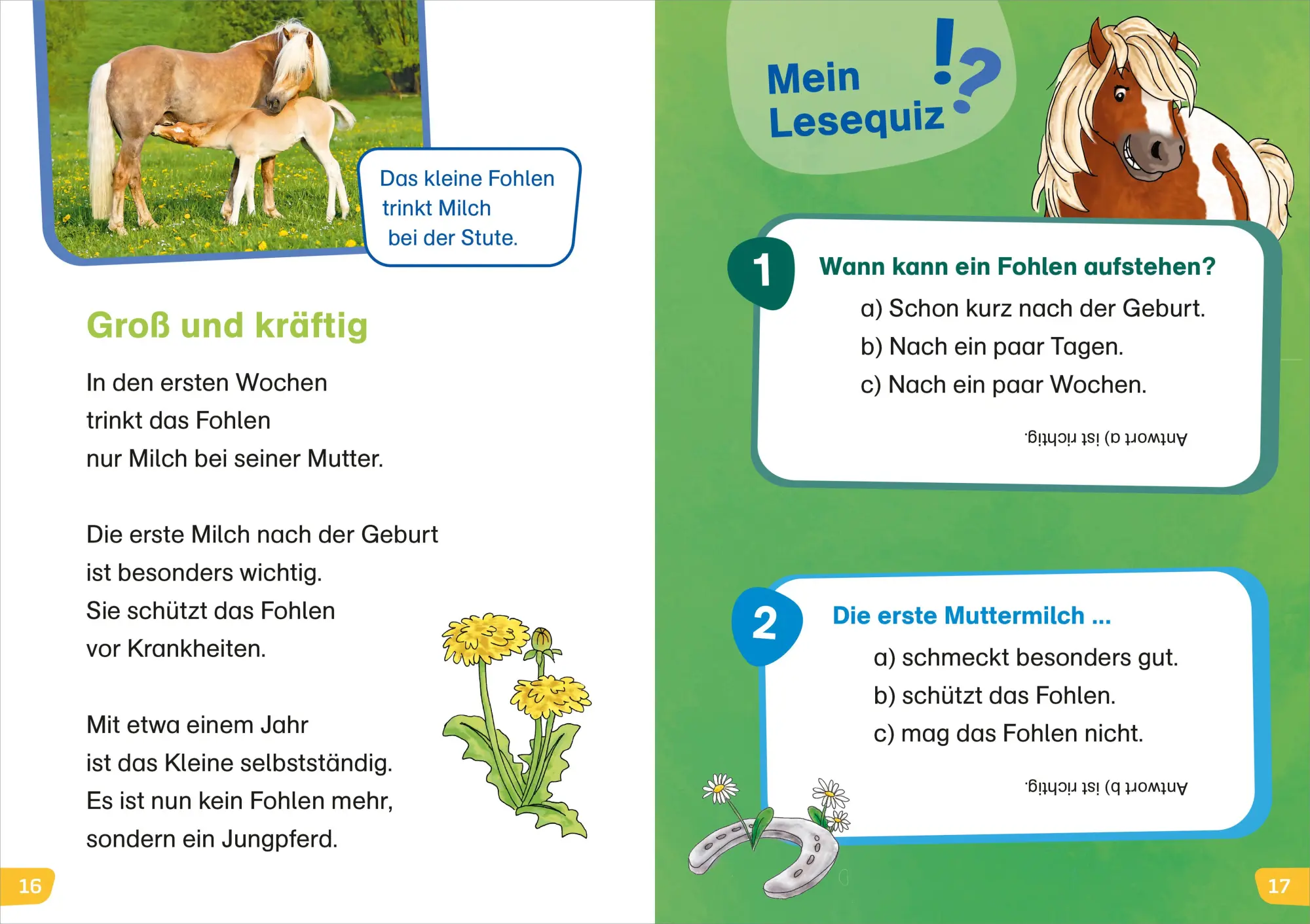 Bild: 9783788677466 | WAS IST WAS Erstes Lesen easy! Komm mit zu den Pferden | Meierjürgen