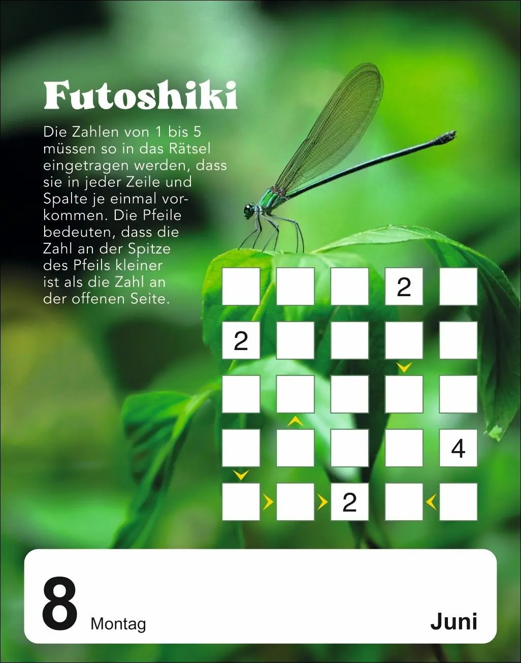 Bild: 9783840037566 | 5 minutes to kill Tagesabreißkalender 2026 - Der Rätselkalender...
