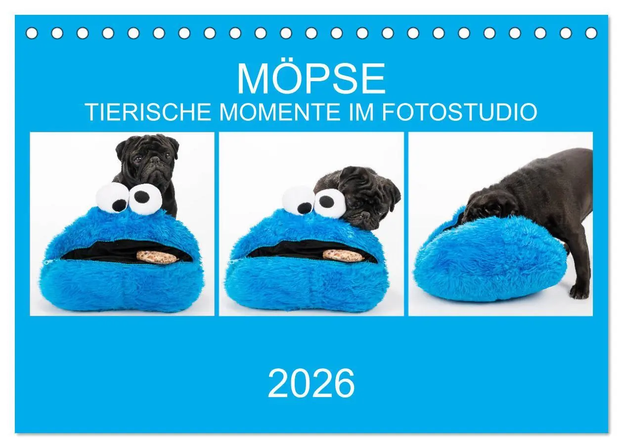 Cover: 9783457757666 | MÖPSE - tierische Momente im Fotostudio (Tischkalender 2026 DIN A5...