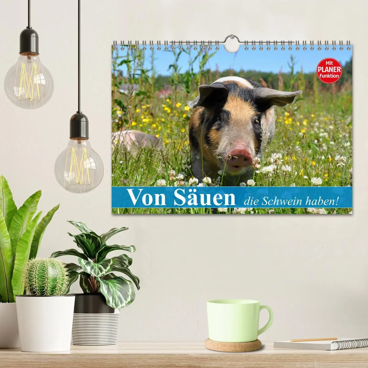 Bild: 9783457997666 | Von Säuen die Schwein haben! (Wandkalender 2026 DIN A4 quer),...