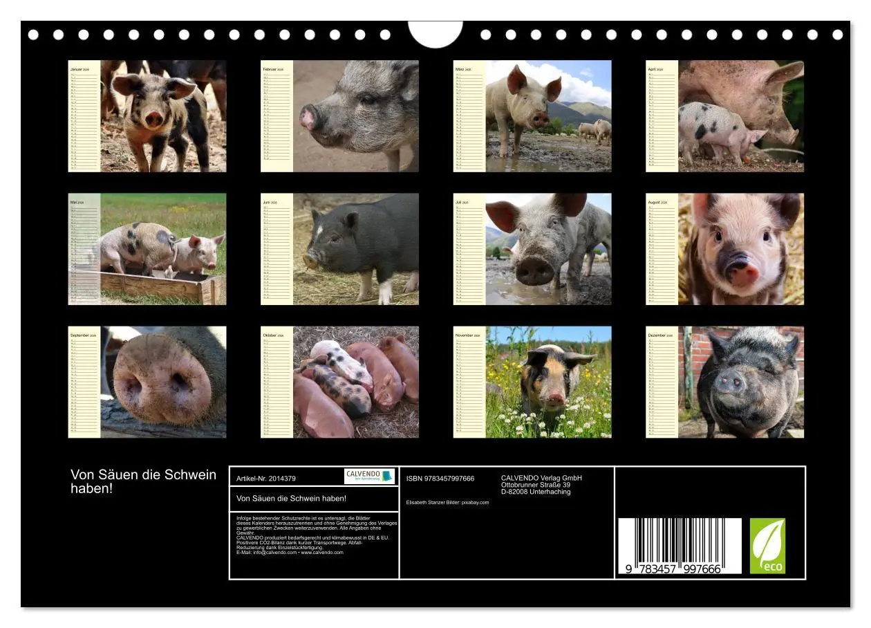 Bild: 9783457997666 | Von Säuen die Schwein haben! (Wandkalender 2026 DIN A4 quer),...