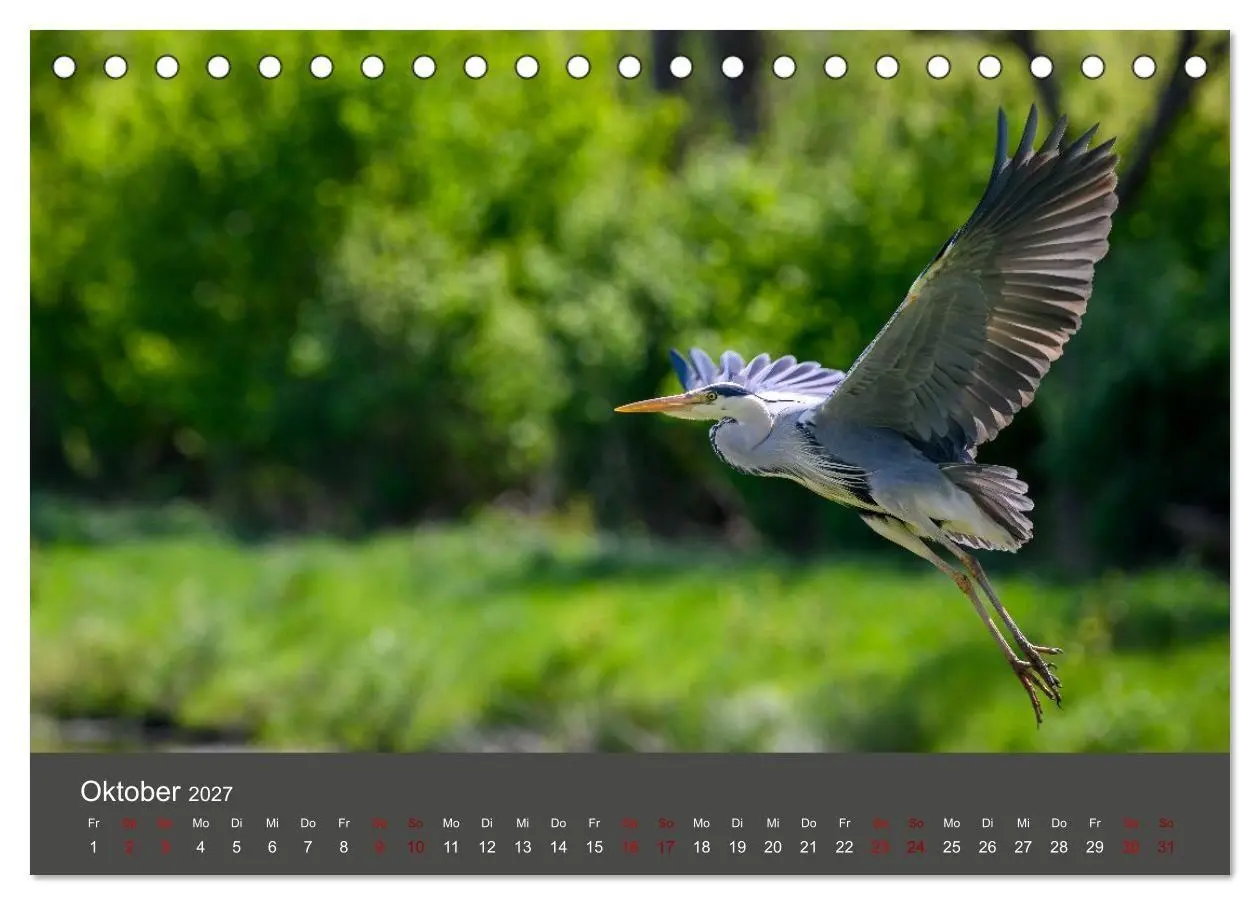 Bild: 9783594377666 | Reiher in der Elbmarsch (Tischkalender 2027 DIN A5 quer), CALVENDO...