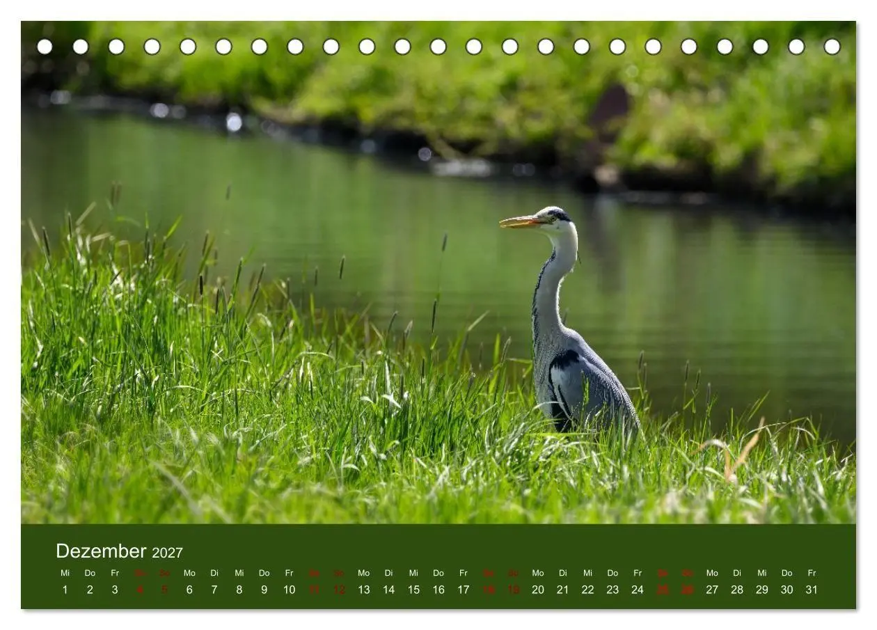Bild: 9783594377666 | Reiher in der Elbmarsch (Tischkalender 2027 DIN A5 quer), CALVENDO...