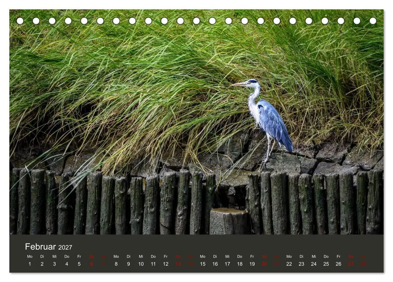 Bild: 9783594377666 | Reiher in der Elbmarsch (Tischkalender 2027 DIN A5 quer), CALVENDO...