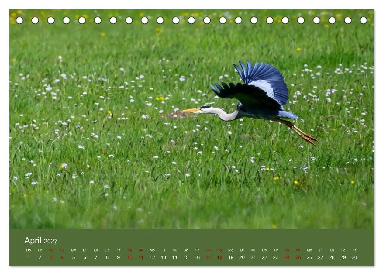 Bild: 9783594377666 | Reiher in der Elbmarsch (Tischkalender 2027 DIN A5 quer), CALVENDO...