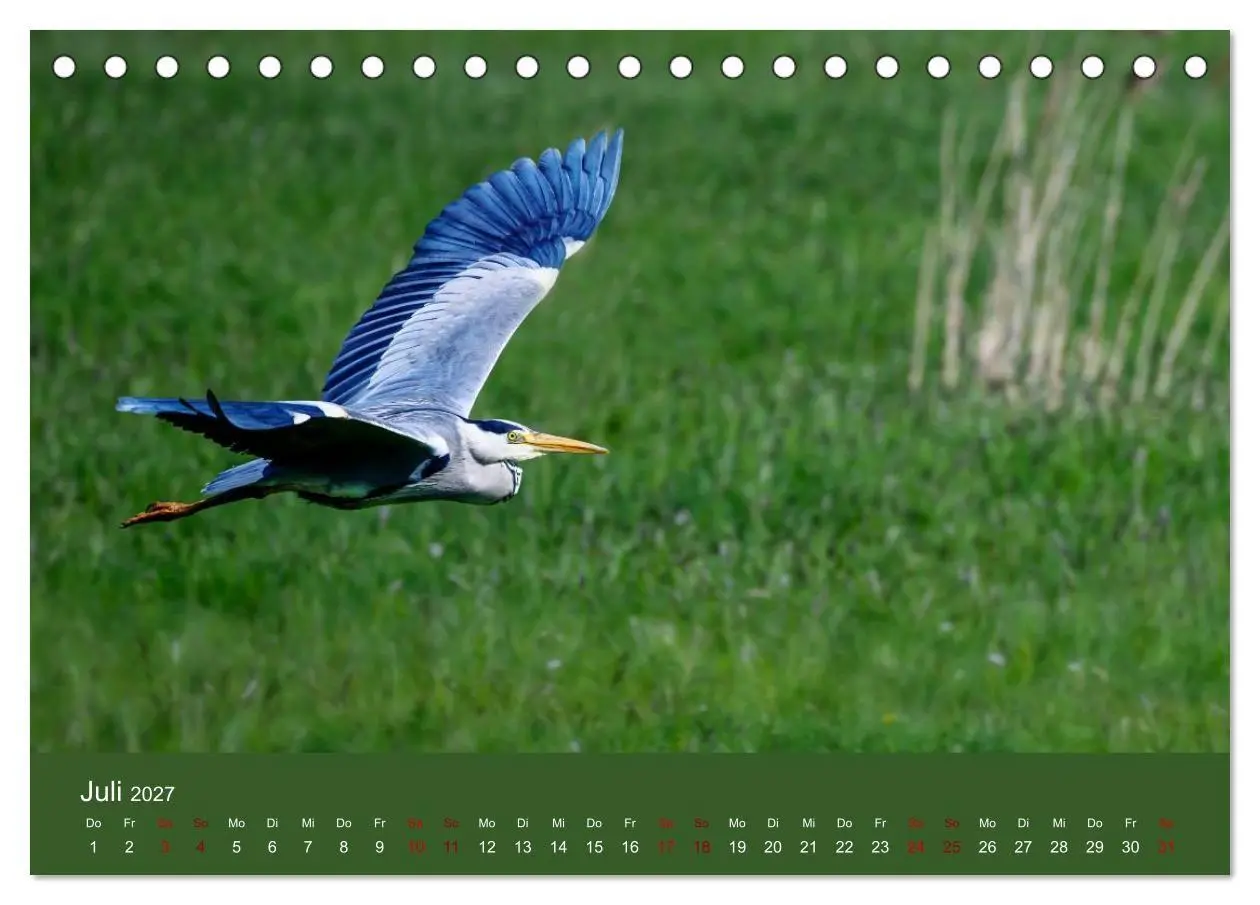 Bild: 9783594377666 | Reiher in der Elbmarsch (Tischkalender 2027 DIN A5 quer), CALVENDO...