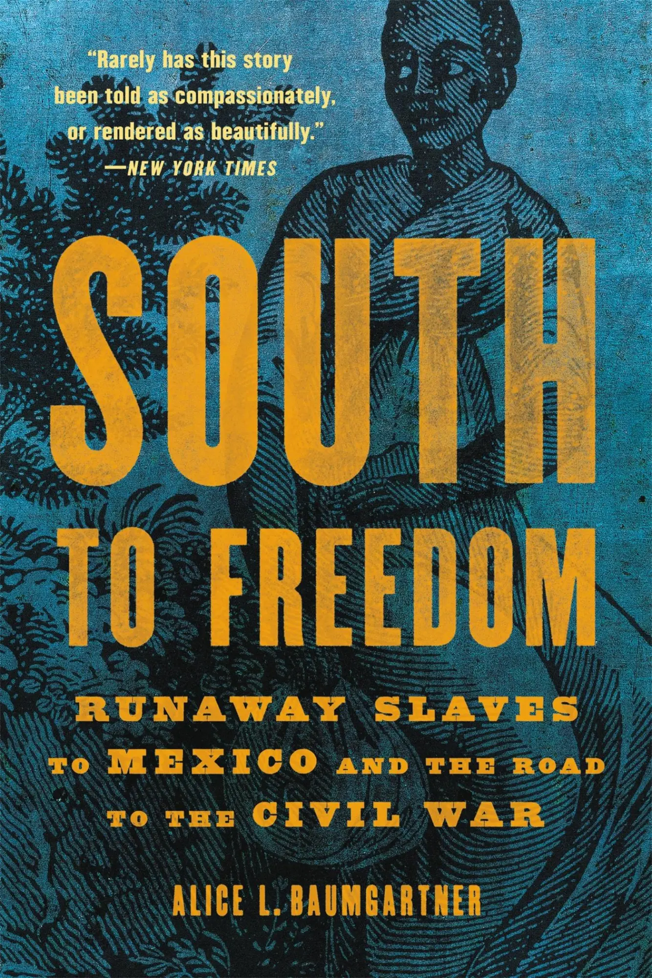 Cover: 9781541617766 | South to Freedom | Alice L Baumgartner | Taschenbuch | Englisch | 2022