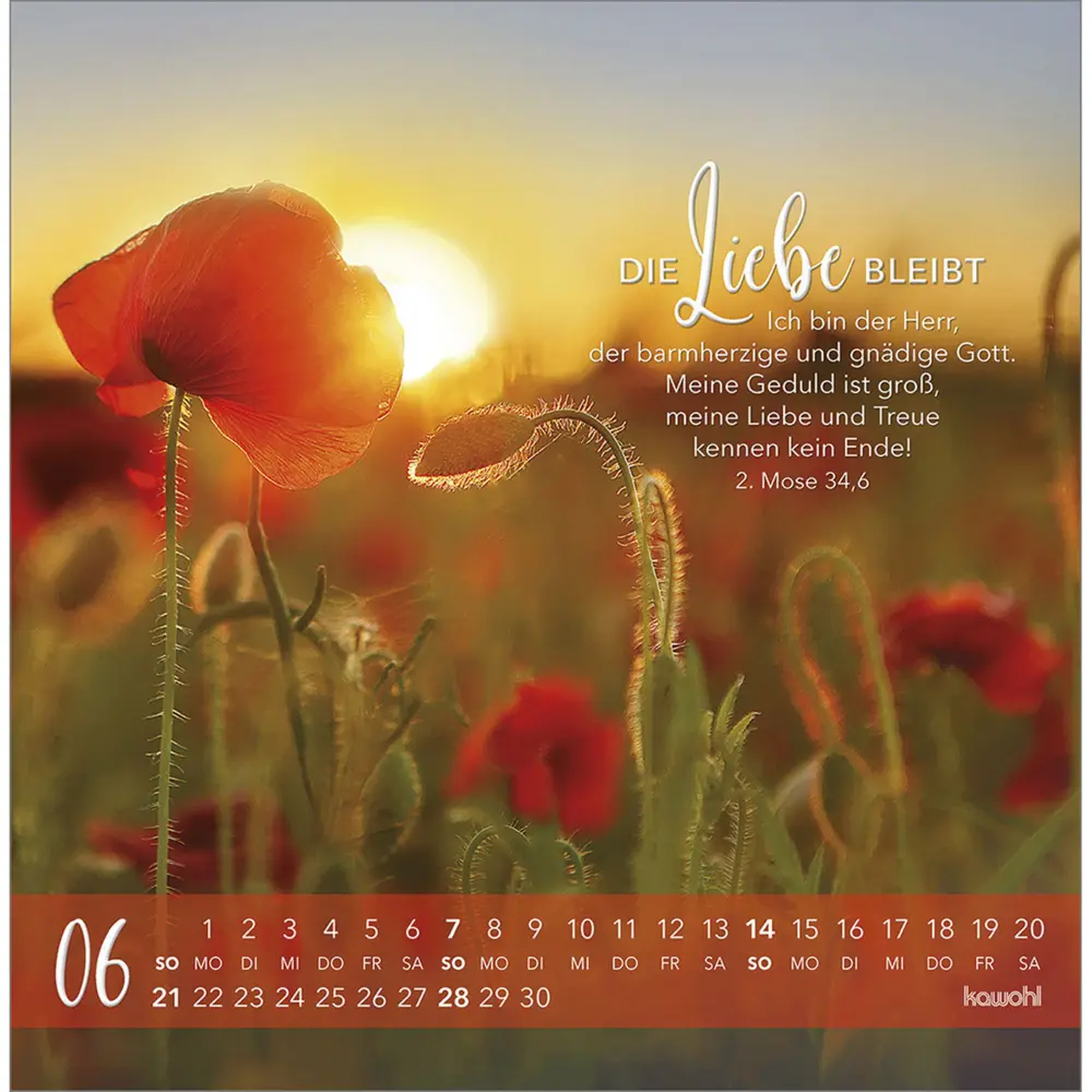 Bild: 9783754817766 | Die Liebe bleibt bestehn 2026 | Kalender | Spiralbindung | Deutsch