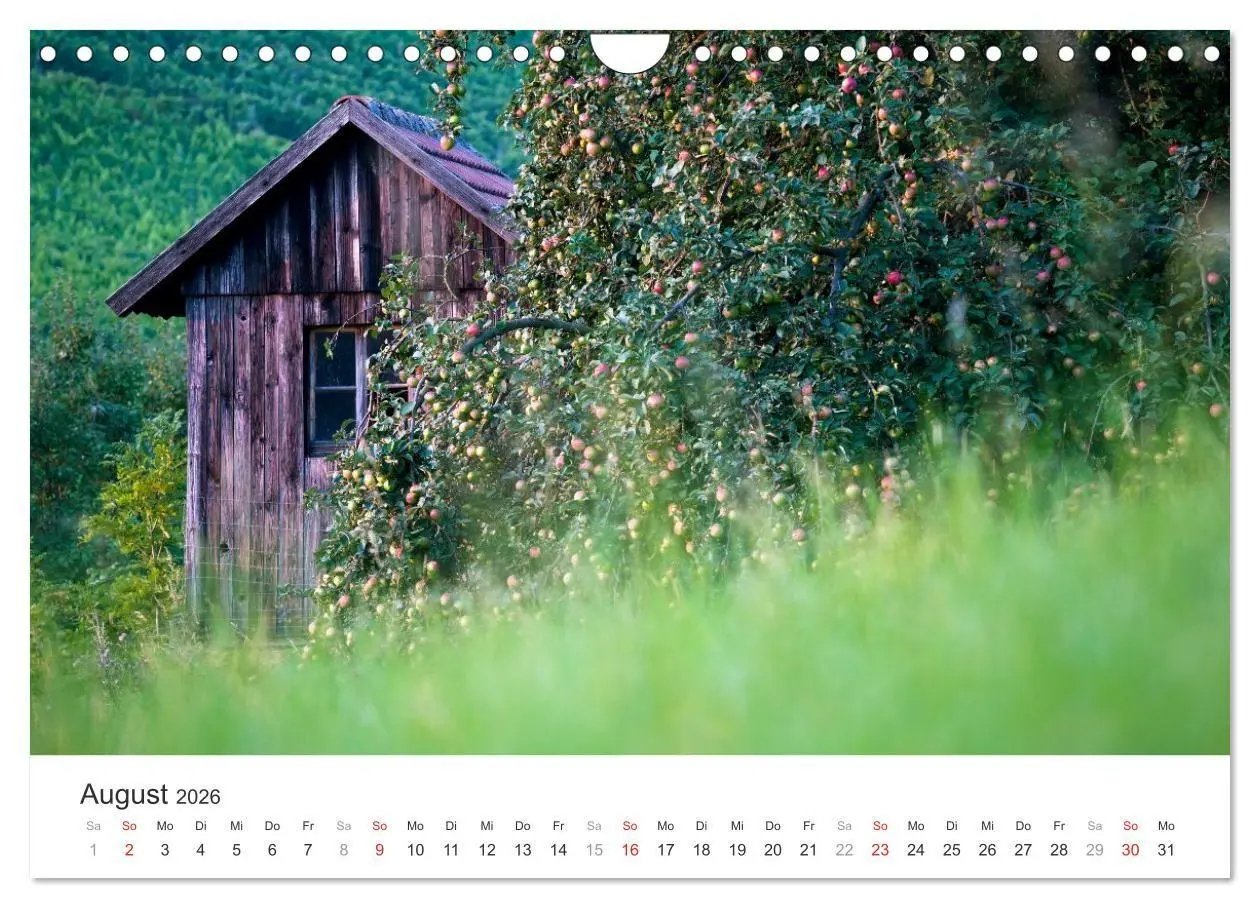 Bild: 9783516207866 | Malerisches Mainfranken (Wandkalender 2026 DIN A4 quer), CALVENDO...