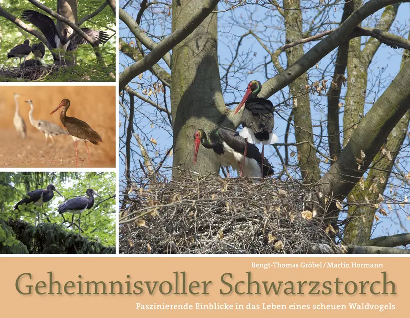 Cover: 9783891047866 | Geheimnisvoller Schwarzstorch | Bengt Thomas Gröbel (u. a.) | Buch