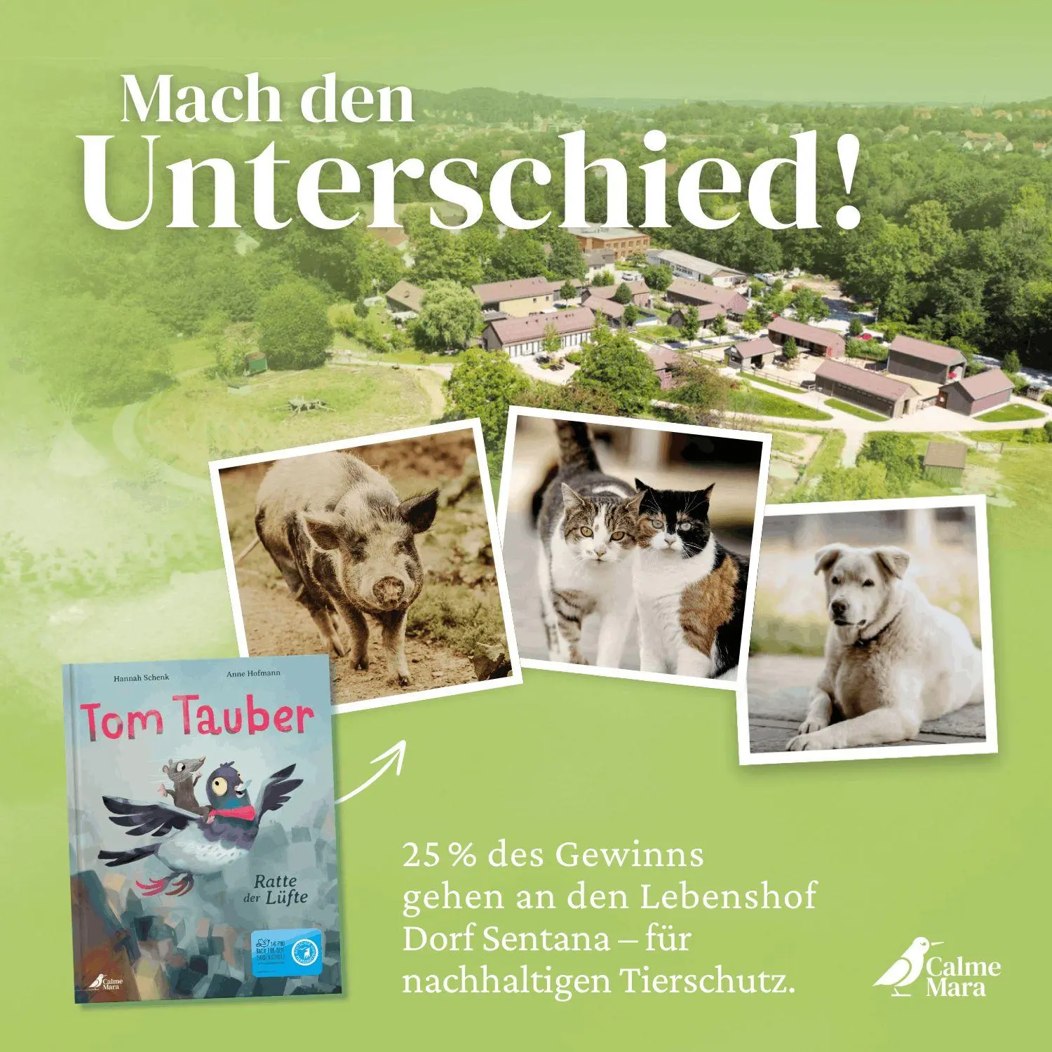 Bild: 9783948877866 | Tom Tauber - Ratte der Lüfte | Hannah Schenk | Buch | 40 S. | Deutsch