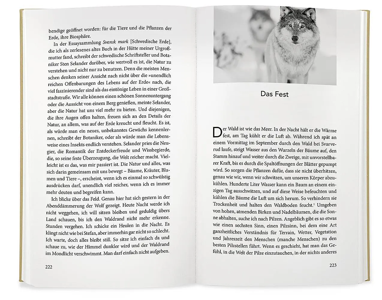 Bild: 9783426277966 | Wolfsspur | Eine Entdeckungsreise in die Tiefen unserer Wälder | Buch