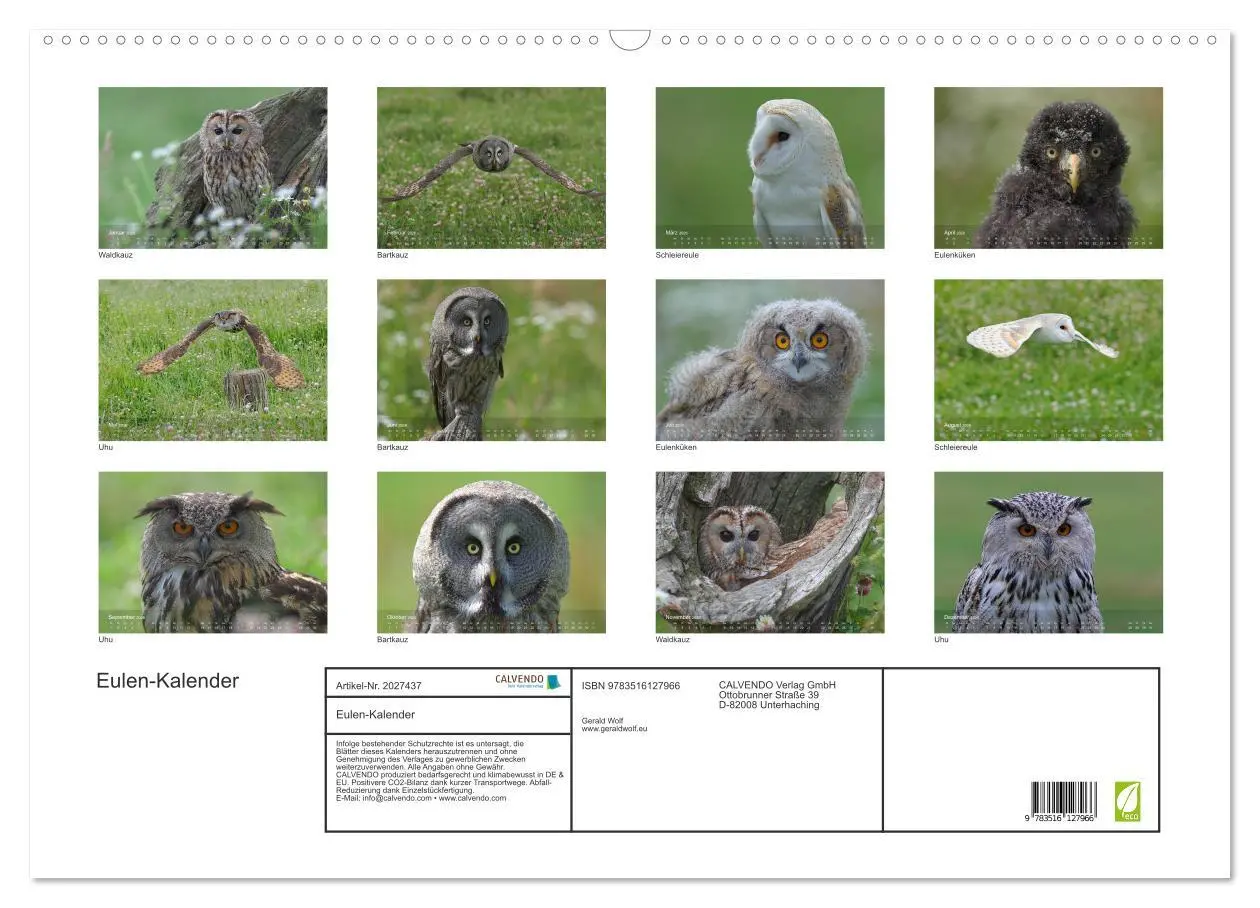 Bild: 9783516127966 | Eulen-Kalender (Wandkalender 2026 DIN A2 quer), CALVENDO...