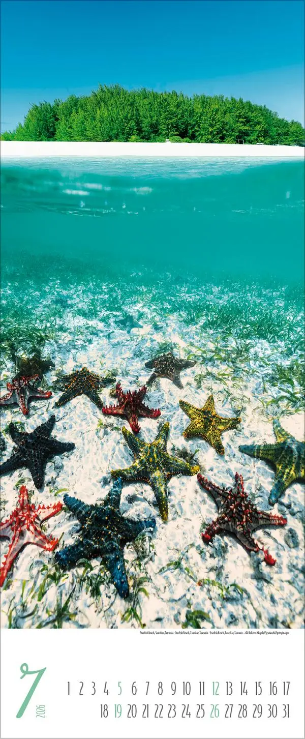 Bild: 9783731887966 | Magische Momente am Meer 2026 | Verlag Korsch | Kalender | 14 S.