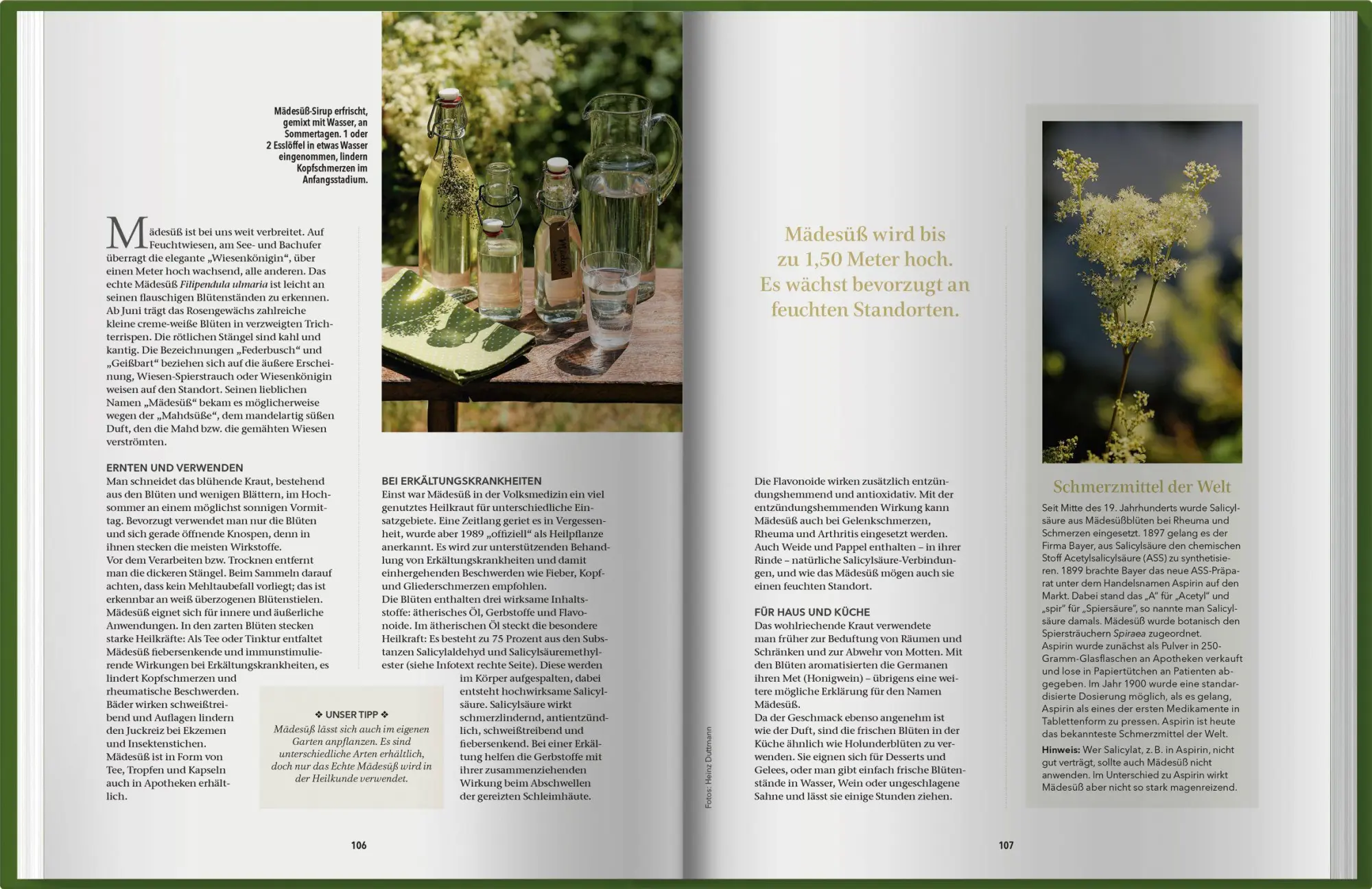 Bild: 9783784357966 | Landlust Naturapotheke 2 | Landlust | Buch | 200 S. | Deutsch | 2026