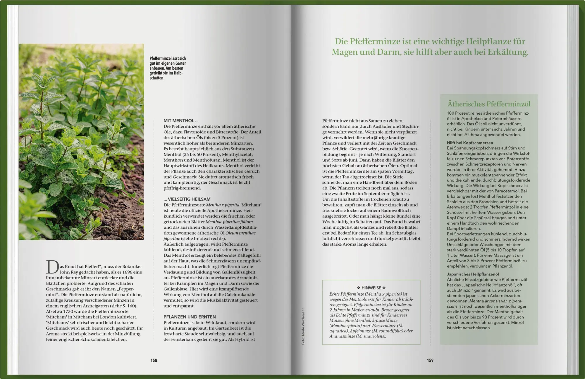 Bild: 9783784357966 | Landlust Naturapotheke 2 | Landlust | Buch | 200 S. | Deutsch | 2026