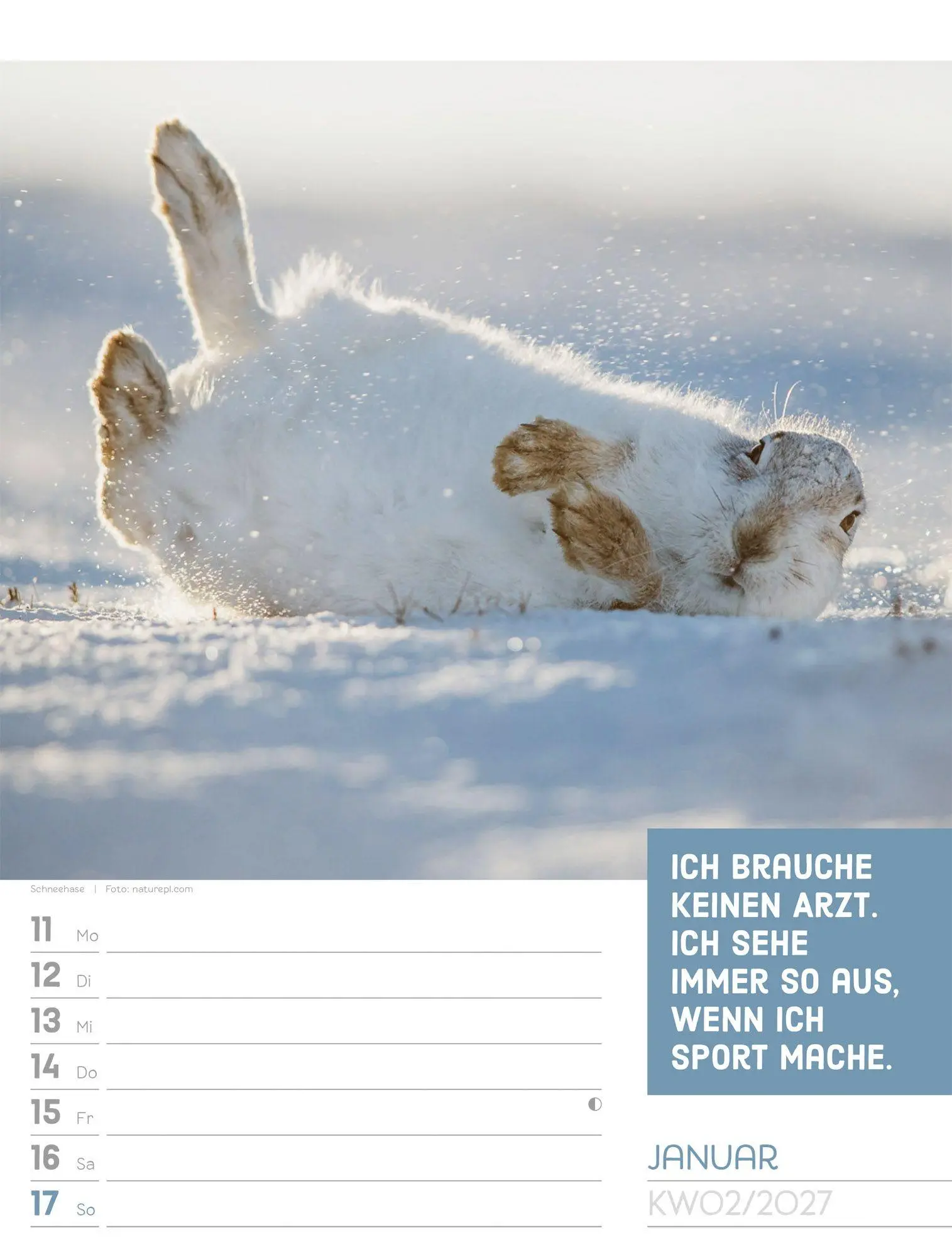 Bild: 9783838427966 | Tierisch Sprüchekalender Wochenplaner 2027 | GmbH | Kalender | 56 S.