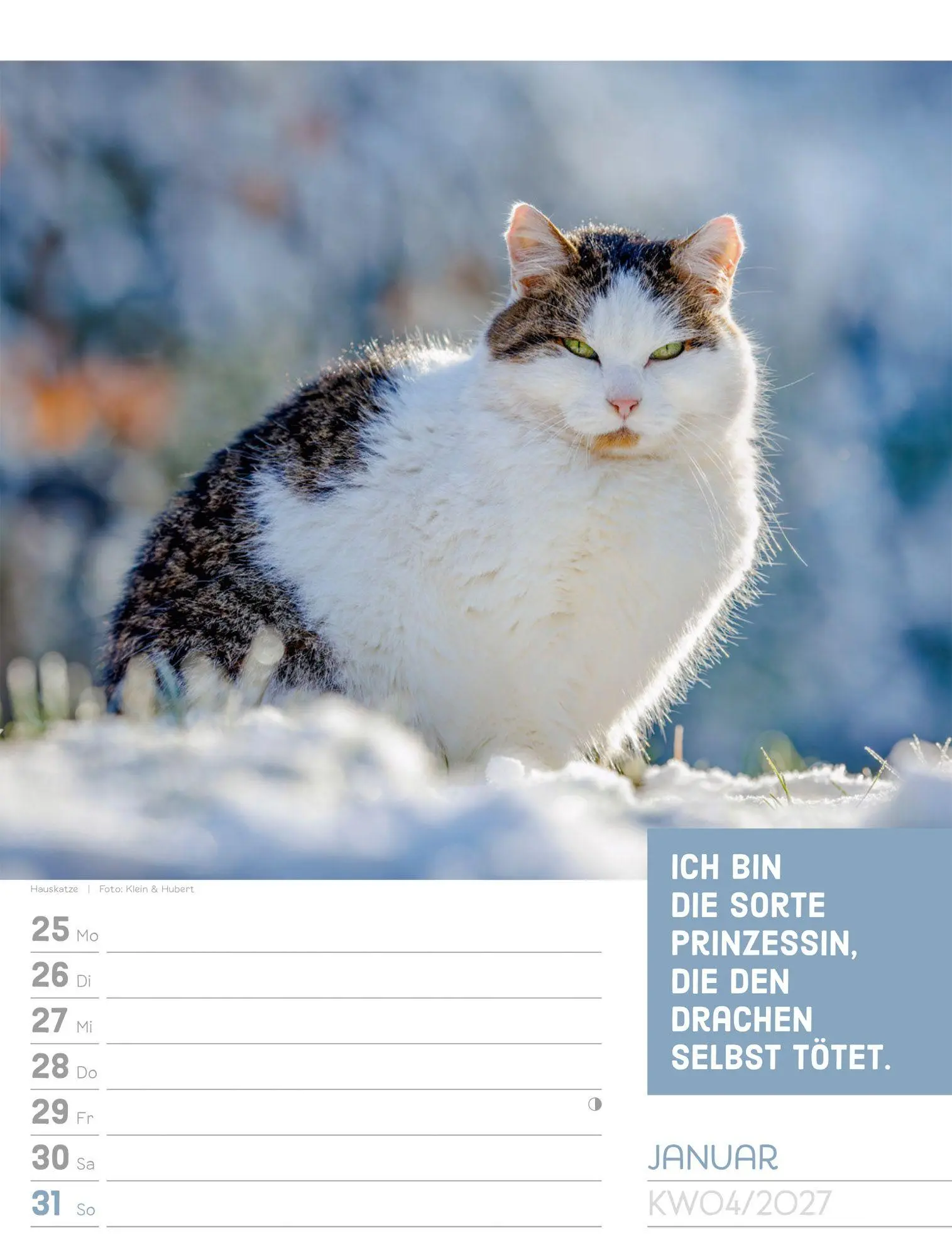 Bild: 9783838427966 | Tierisch Sprüchekalender Wochenplaner 2027 | GmbH | Kalender | 56 S.