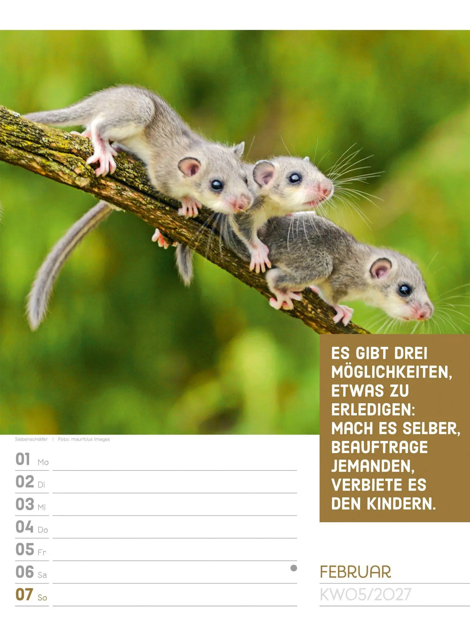 Bild: 9783838427966 | Tierisch Sprüchekalender Wochenplaner 2027 | GmbH | Kalender | 56 S.