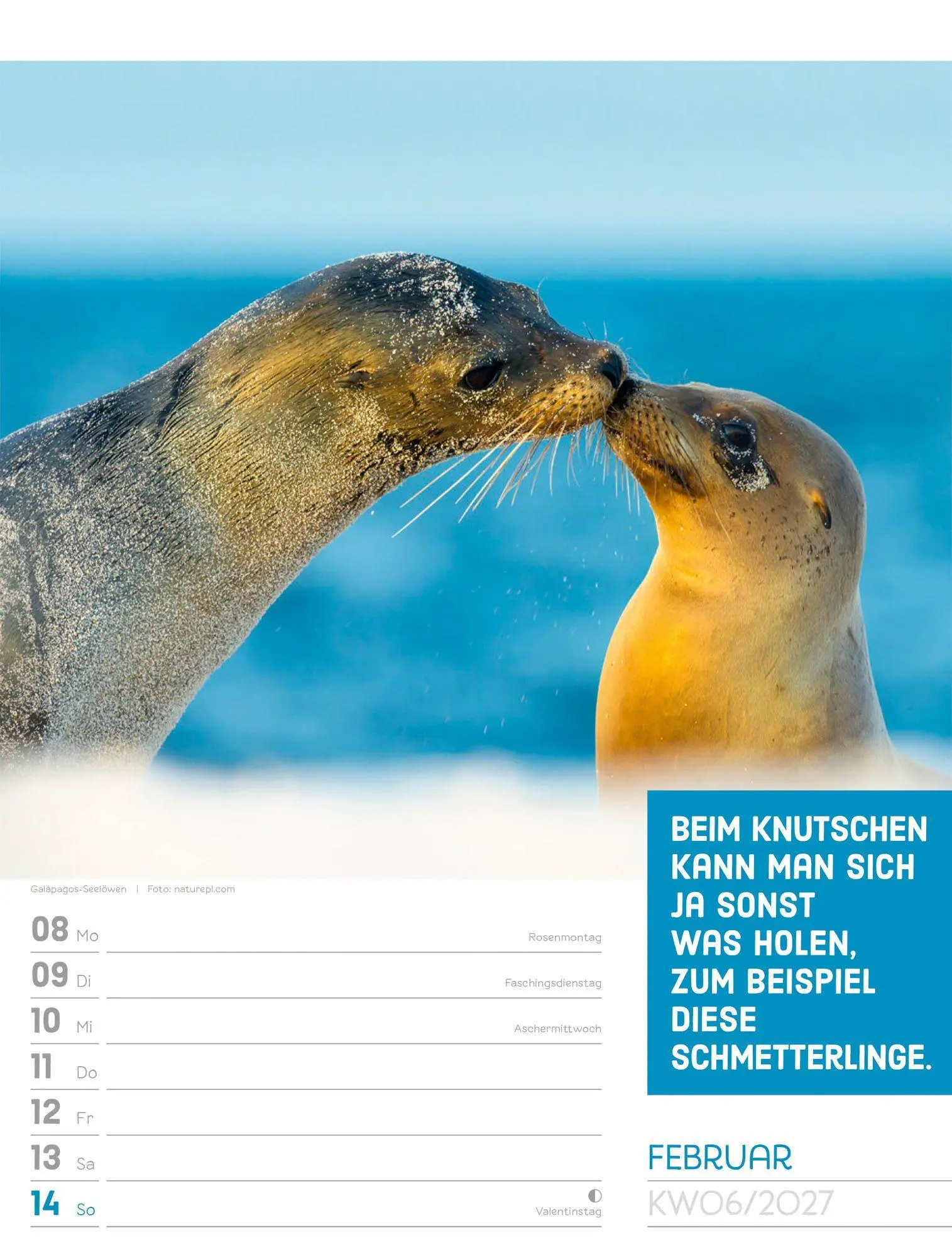 Bild: 9783838427966 | Tierisch Sprüchekalender Wochenplaner 2027 | GmbH | Kalender | 56 S.