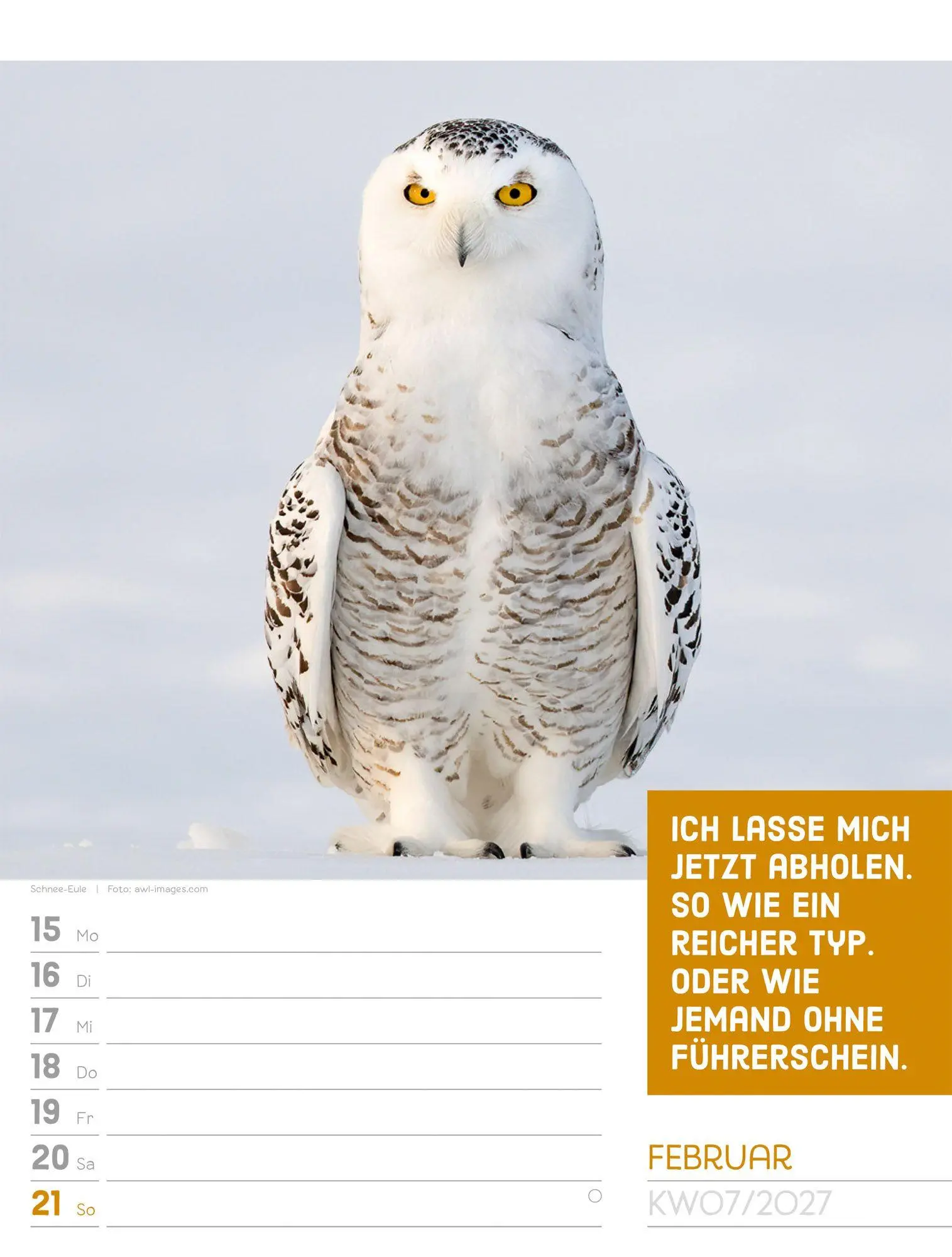 Bild: 9783838427966 | Tierisch Sprüchekalender Wochenplaner 2027 | GmbH | Kalender | 56 S.