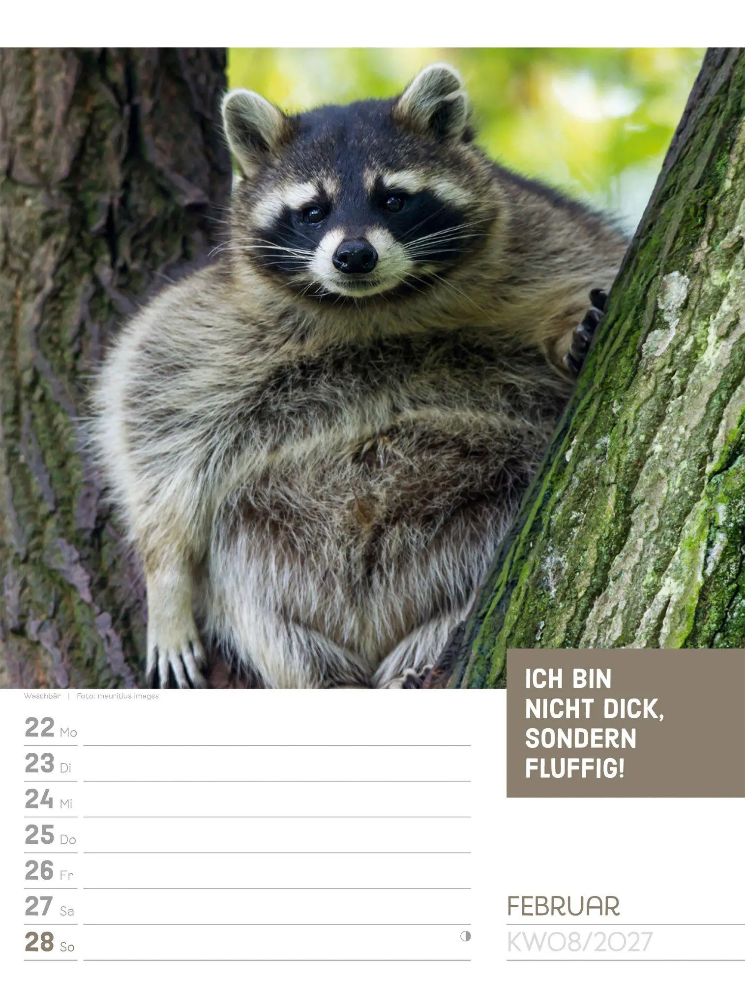 Bild: 9783838427966 | Tierisch Sprüchekalender Wochenplaner 2027 | GmbH | Kalender | 56 S.
