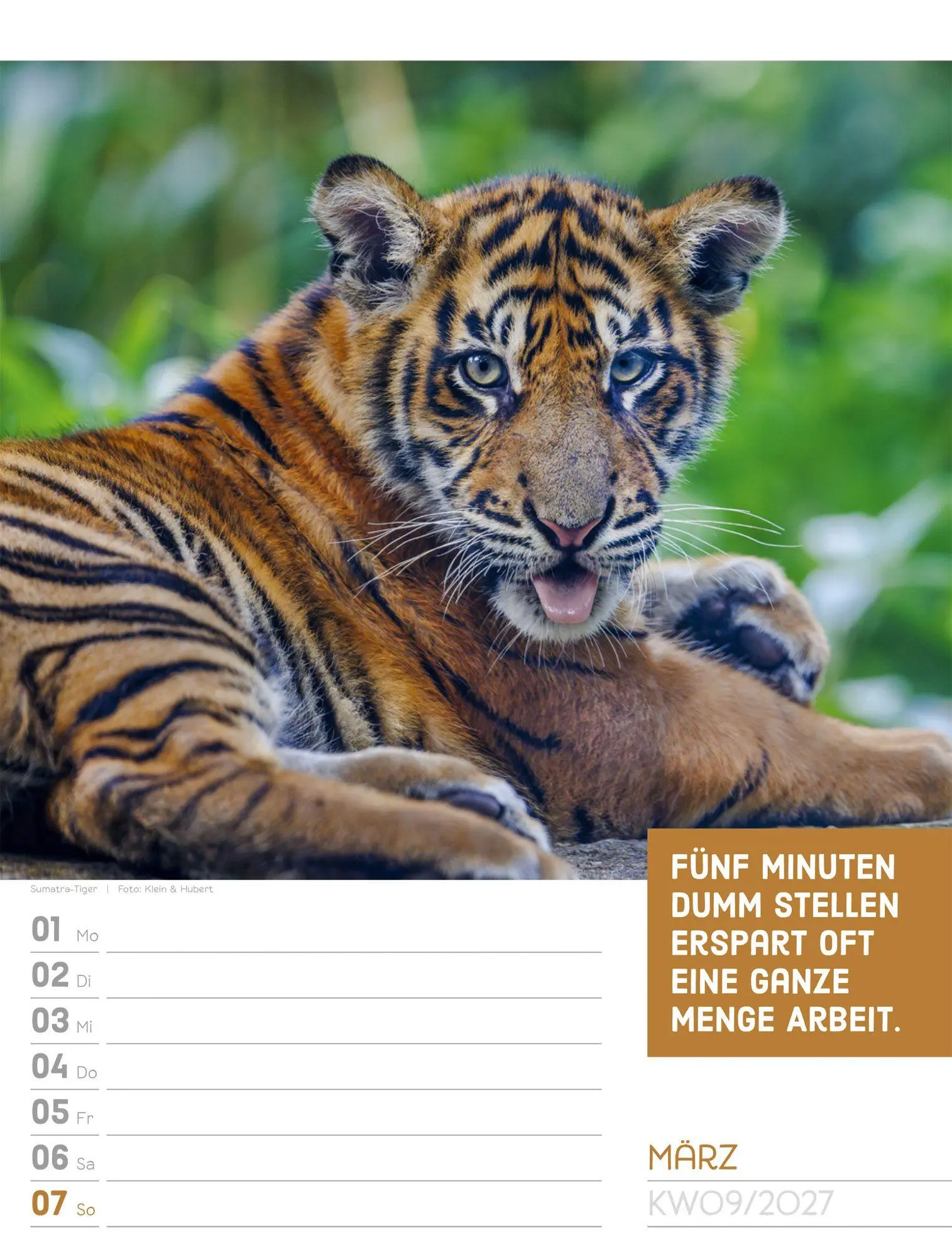 Bild: 9783838427966 | Tierisch Sprüchekalender Wochenplaner 2027 | GmbH | Kalender | 56 S.