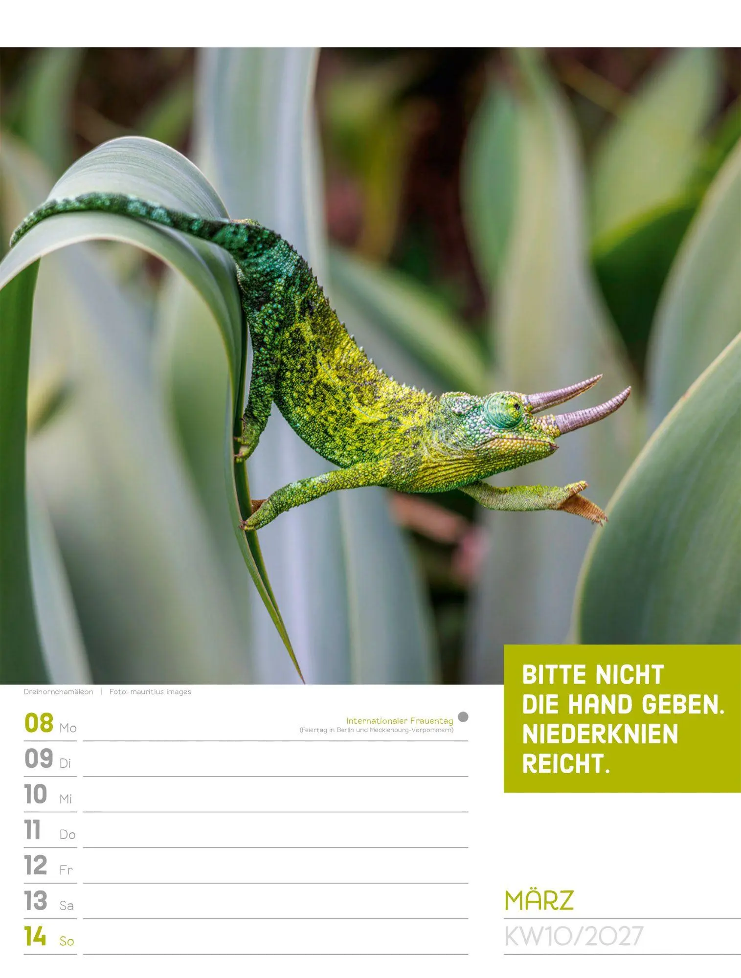 Bild: 9783838427966 | Tierisch Sprüchekalender Wochenplaner 2027 | GmbH | Kalender | 56 S.