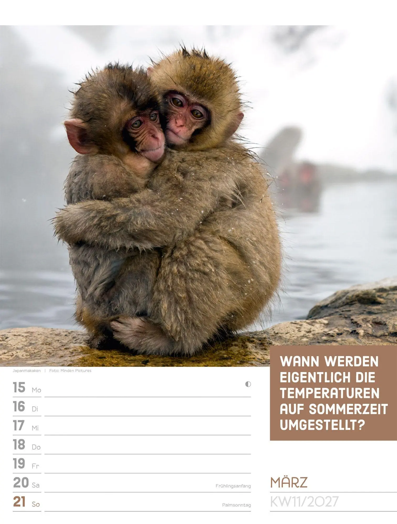 Bild: 9783838427966 | Tierisch Sprüchekalender Wochenplaner 2027 | GmbH | Kalender | 56 S.