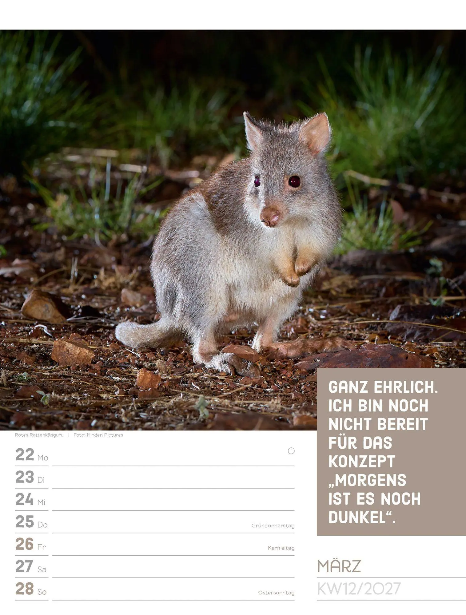 Bild: 9783838427966 | Tierisch Sprüchekalender Wochenplaner 2027 | GmbH | Kalender | 56 S.