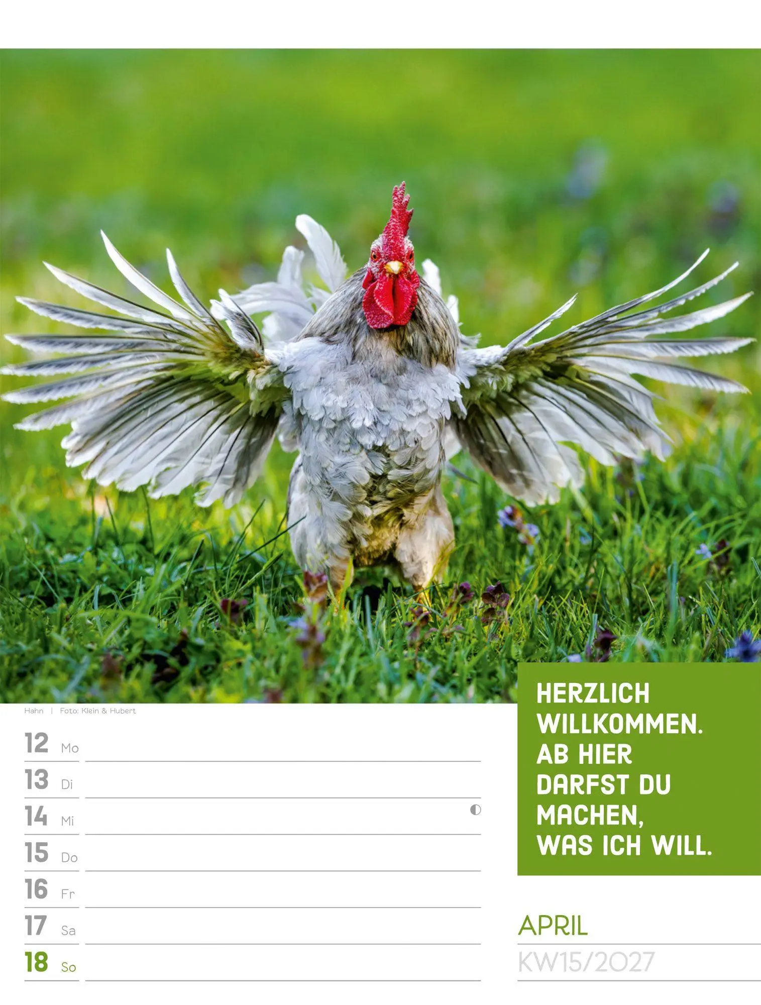 Bild: 9783838427966 | Tierisch Sprüchekalender Wochenplaner 2027 | GmbH | Kalender | 56 S.