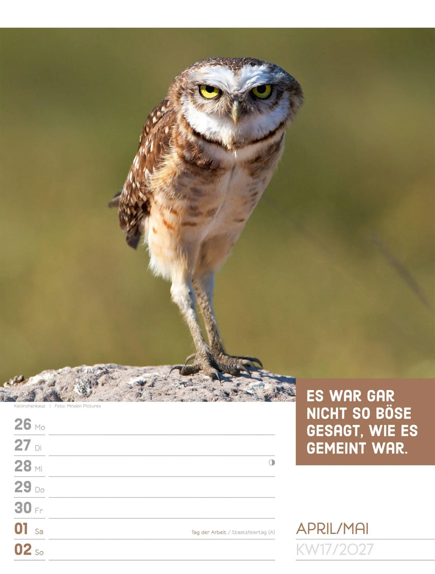 Bild: 9783838427966 | Tierisch Sprüchekalender Wochenplaner 2027 | GmbH | Kalender | 56 S.