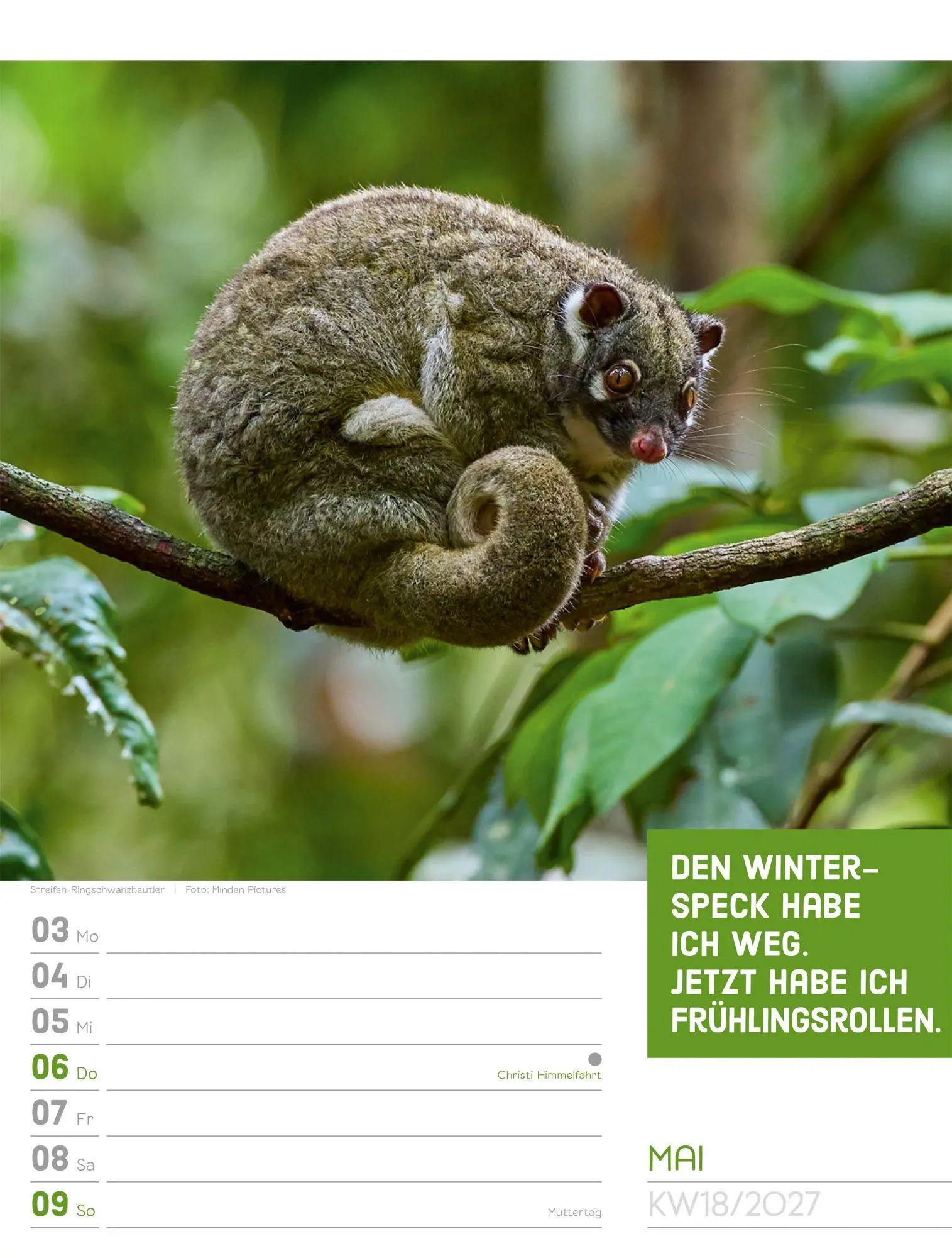 Bild: 9783838427966 | Tierisch Sprüchekalender Wochenplaner 2027 | GmbH | Kalender | 56 S.