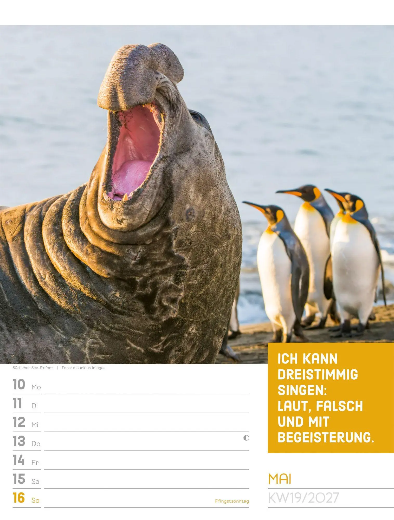 Bild: 9783838427966 | Tierisch Sprüchekalender Wochenplaner 2027 | GmbH | Kalender | 56 S.