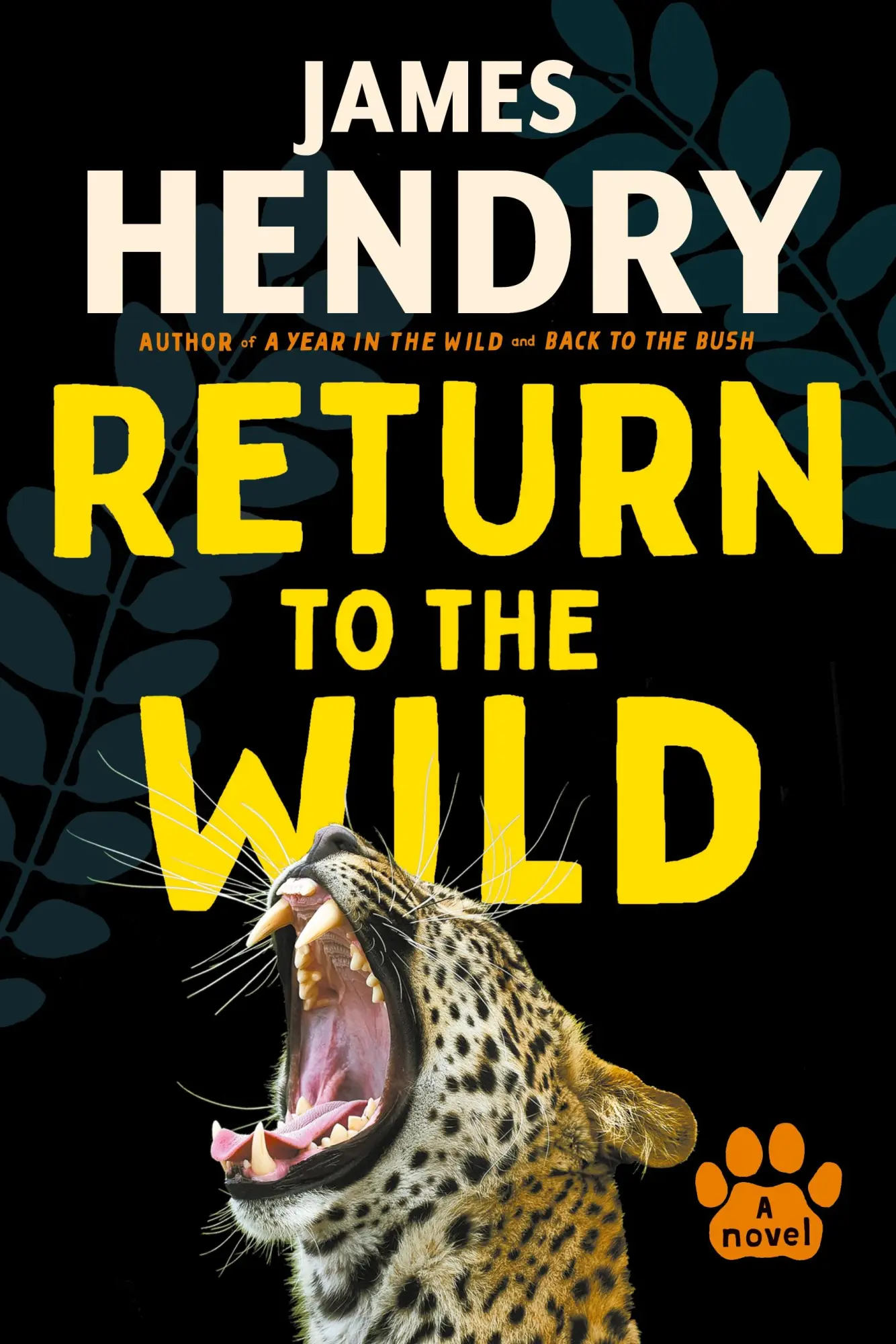 Cover: 9781770108066 | Return to the Wild | James Hendry | Taschenbuch | Englisch | 2022