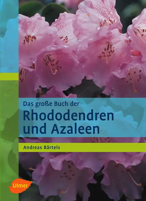 Cover: 9783800148066 | Das große Buch der Rhododendren und Azaleen | Andreas Bärtels | Buch