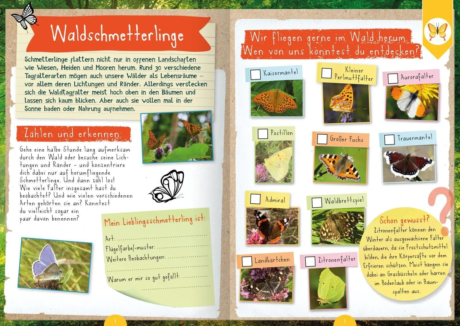 Bild: 9783845868066 | Naturforscher-Kids - Mitmachbuch im Wald | Angelika Huber-Janisch