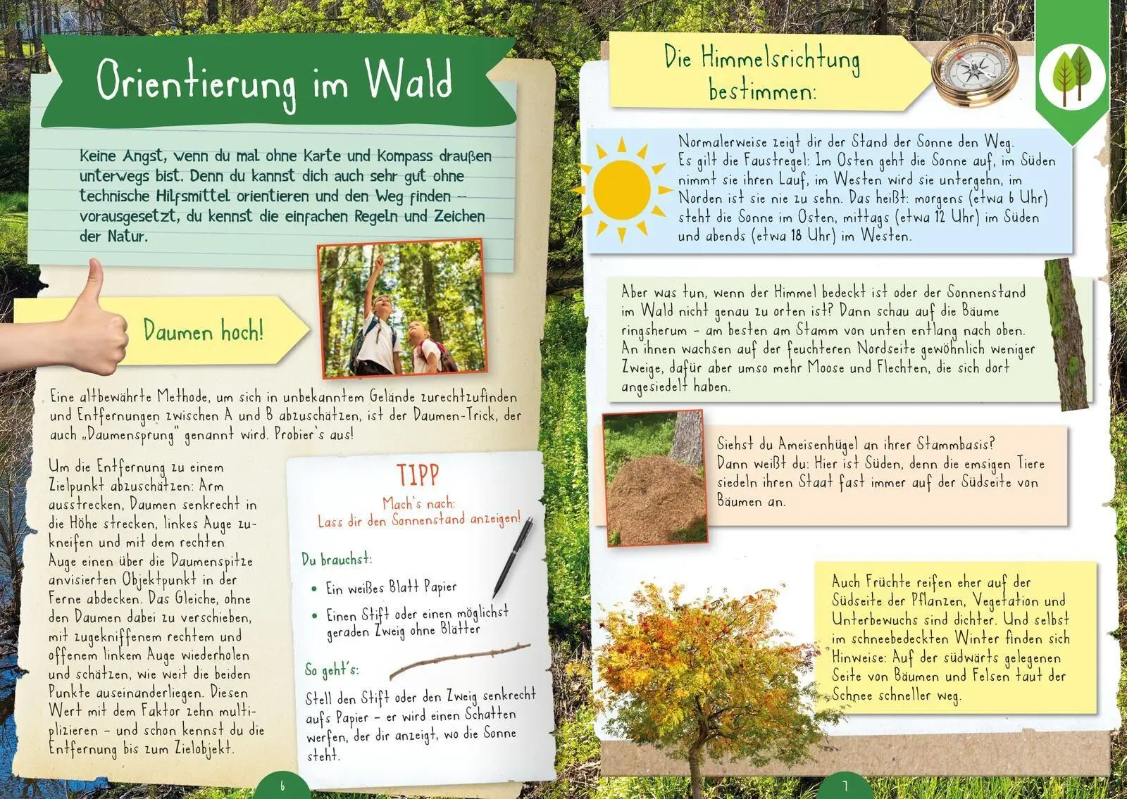 Bild: 9783845868066 | Naturforscher-Kids - Mitmachbuch im Wald | Angelika Huber-Janisch