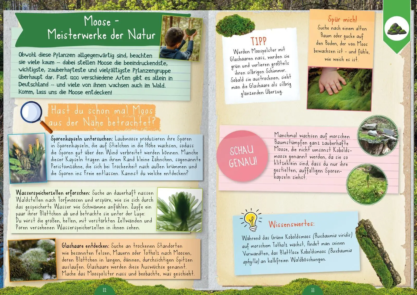 Bild: 9783845868066 | Naturforscher-Kids - Mitmachbuch im Wald | Angelika Huber-Janisch