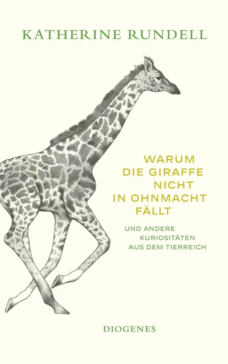 Cover: 9783257248166 | Warum die Giraffe nicht in Ohnmacht fällt | Katherine Rundell | Buch