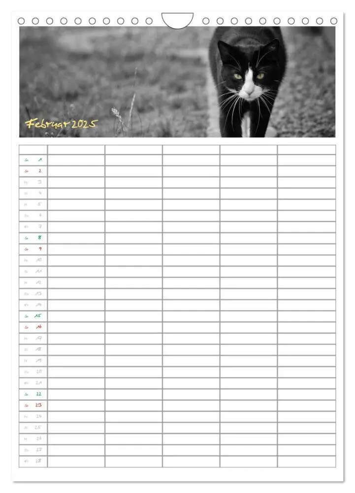 Bild: 9783457088166 | Miezekatzen Planungskalender (Wandkalender 2025 DIN A4 hoch),...