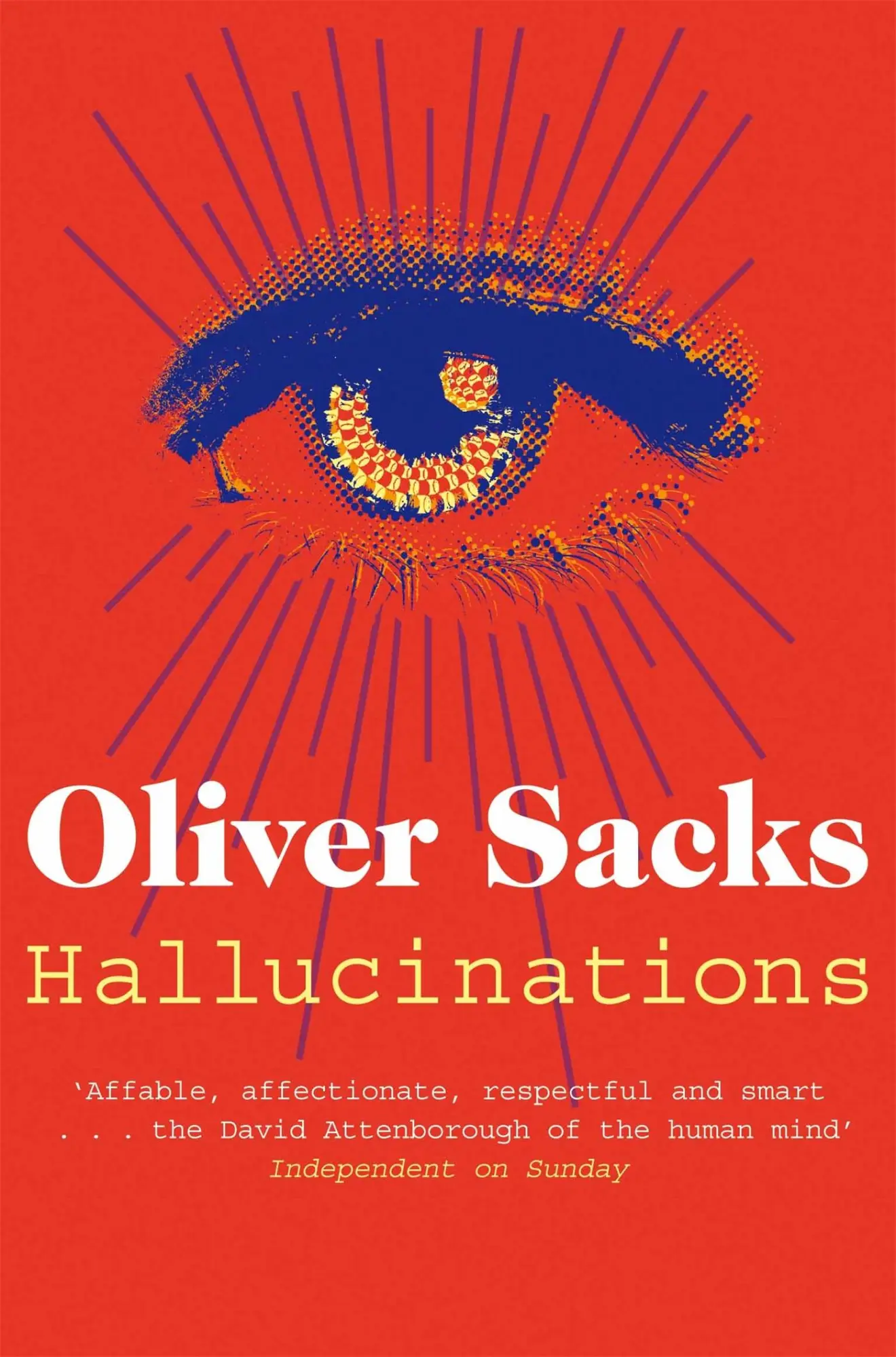 Cover: 9781447208266 | Hallucinations | Oliver Sacks | Taschenbuch | 322 S. | Englisch | 2013