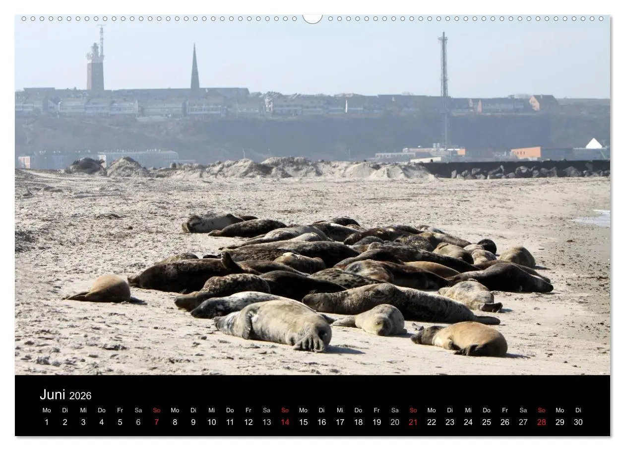Bild: 9783516168266 | Helgoland (Wandkalender 2026 DIN A2 quer), CALVENDO Monatskalender