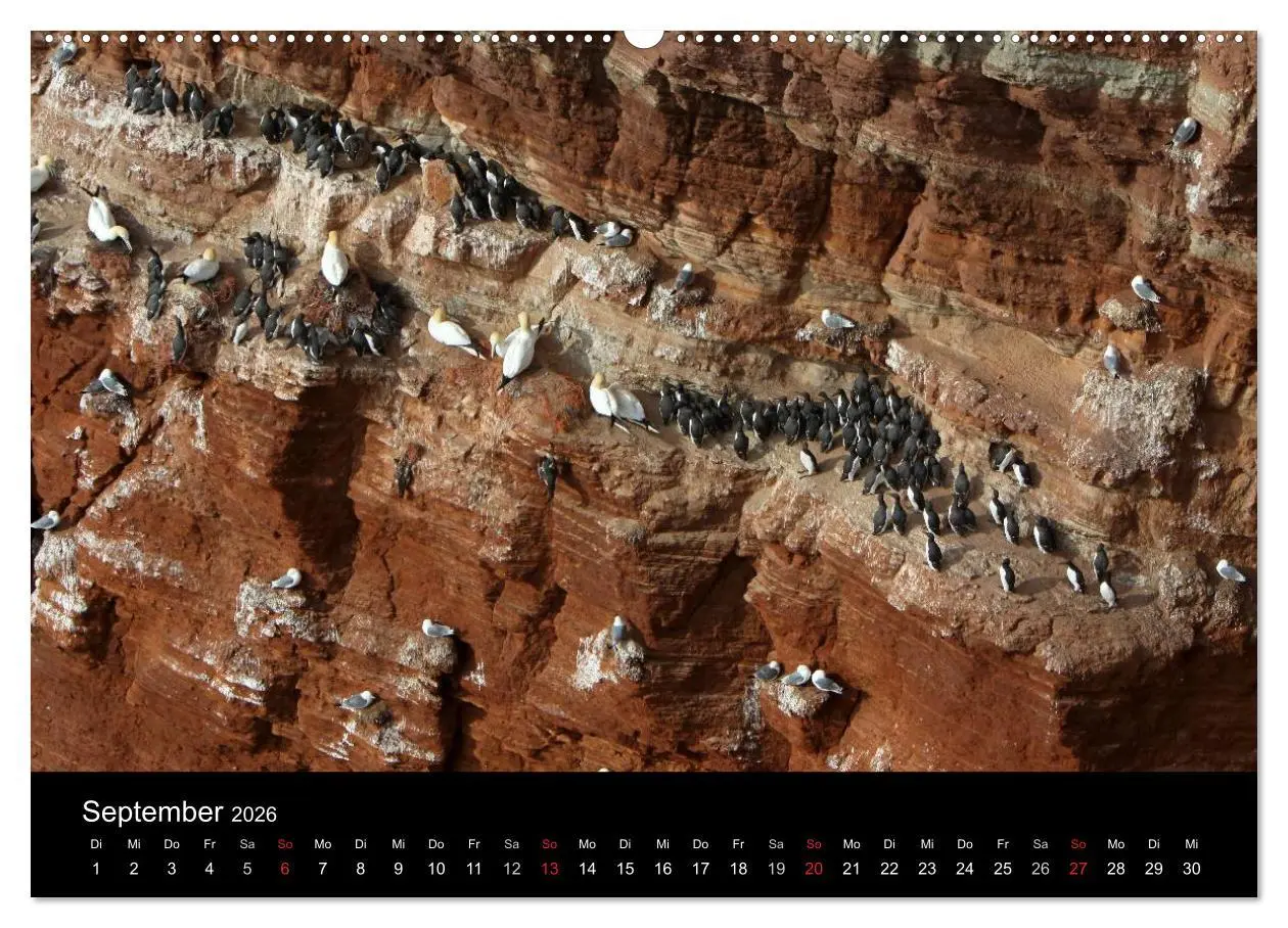 Bild: 9783516168266 | Helgoland (Wandkalender 2026 DIN A2 quer), CALVENDO Monatskalender