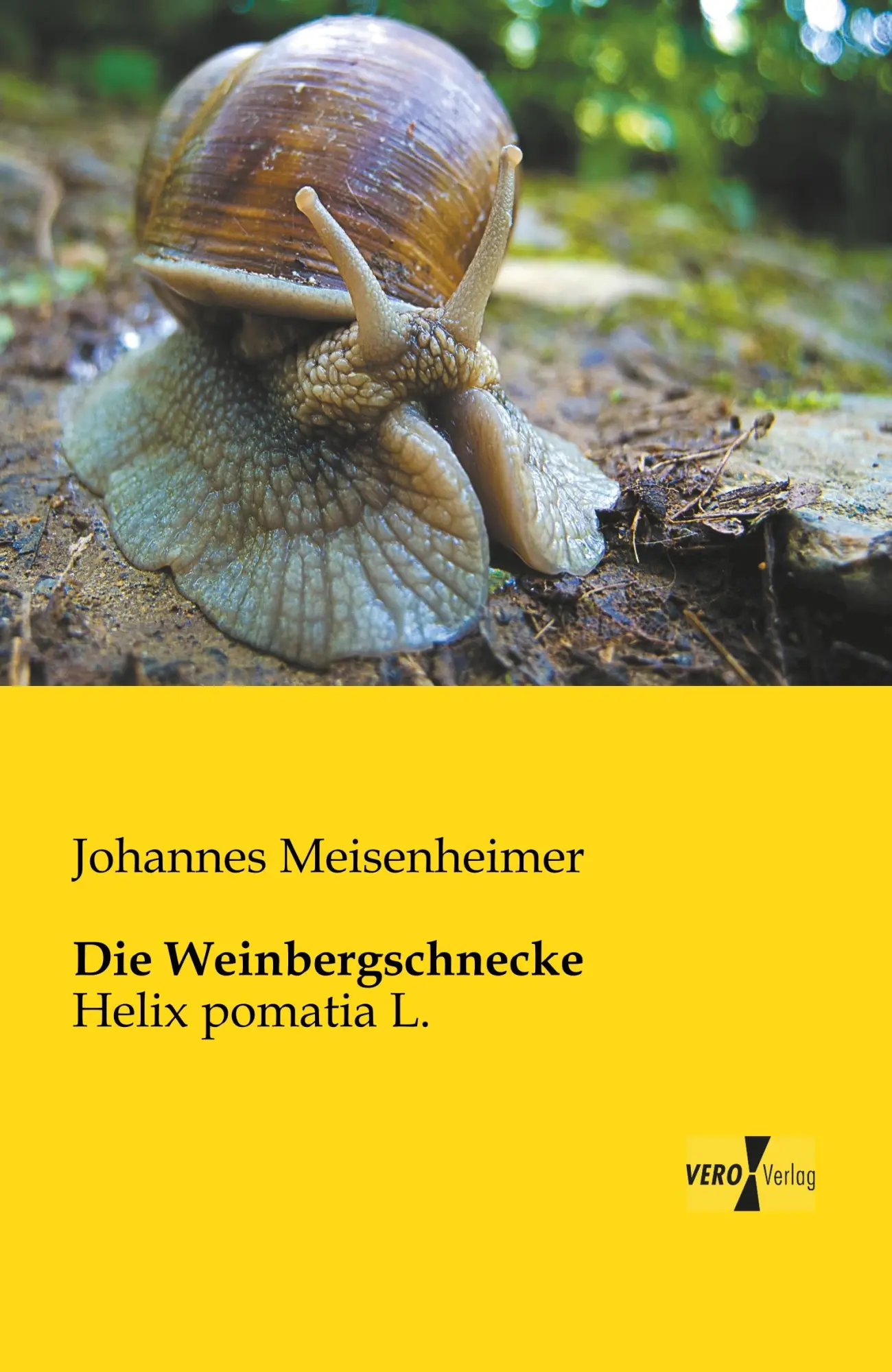 Cover: 9783956108266 | Die Weinbergschnecke | Helix pomatia L. | Johannes Meisenheimer | Buch