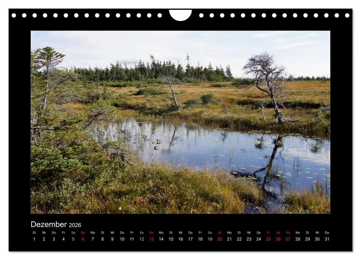 Bild: 9783516228366 | Nova Scotia &amp; Prince Edward Island (Wandkalender 2026 DIN A4 quer),...