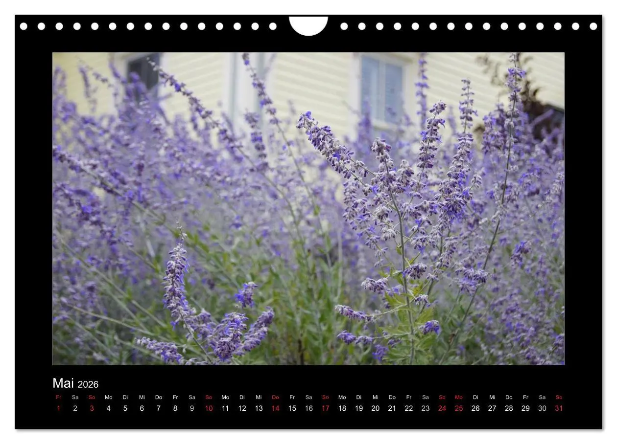 Bild: 9783516228366 | Nova Scotia &amp; Prince Edward Island (Wandkalender 2026 DIN A4 quer),...