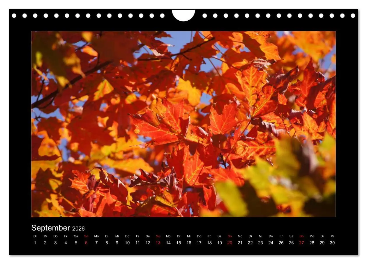 Bild: 9783516228366 | Nova Scotia &amp; Prince Edward Island (Wandkalender 2026 DIN A4 quer),...