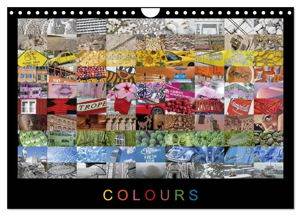 Cover: 9783594208366 | Colours (Wandkalender 2027 DIN A4 quer), CALVENDO Monatskalender