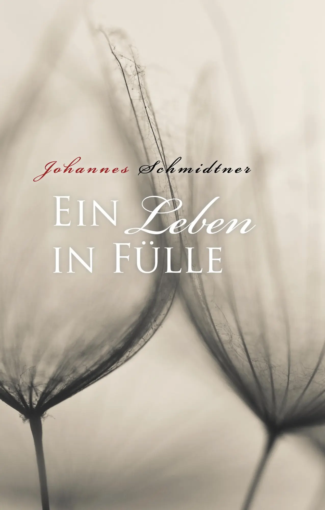 Cover: 9783739218366 | Ein Leben in Fülle | Johannes Schmidtner | Buch | 52 S. | Deutsch